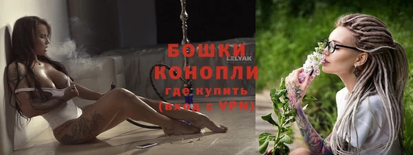 СК Новодвинск