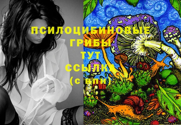СК Новодвинск