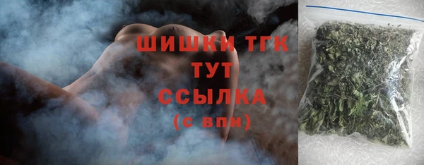 СК Новодвинск
