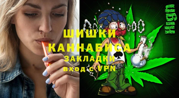 СК Новодвинск