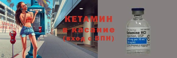 СК Новодвинск