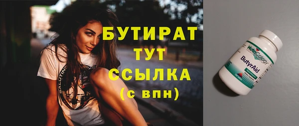 СК Новодвинск