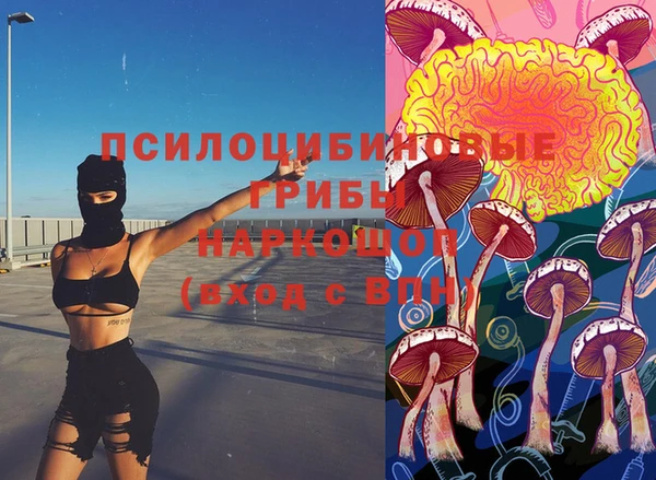СК Новодвинск