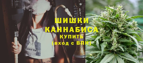 СК Новодвинск