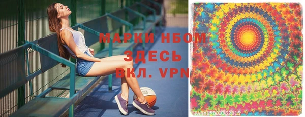 СК Новодвинск