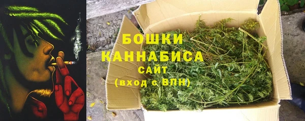 СК Новодвинск