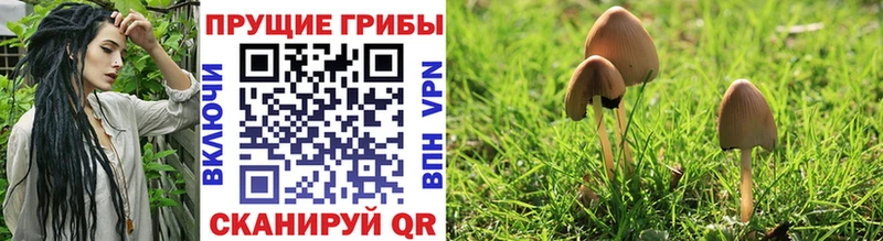 Псилоцибиновые грибы ЛСД  Купить закладки  Иланский 