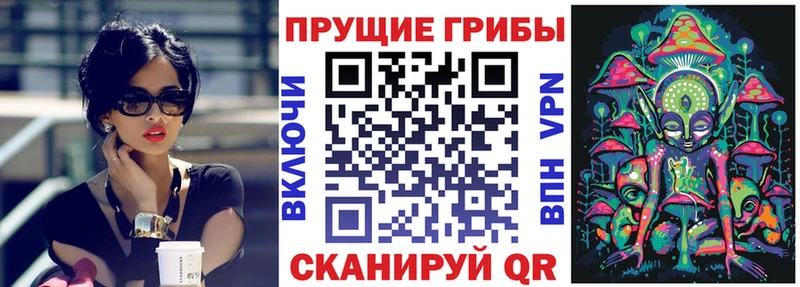 Галлюциногенные грибы Cubensis Иланский